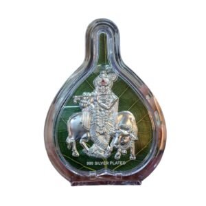 Krishna Ji Frame Murti